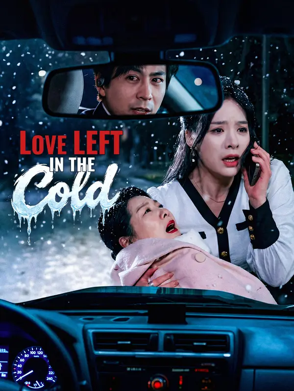 Love Left in the Cold(Dubbed)