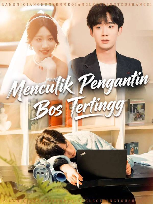 Menculik Pengantin Bos Tertinggi