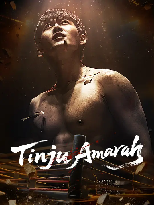 Tinju Amarah