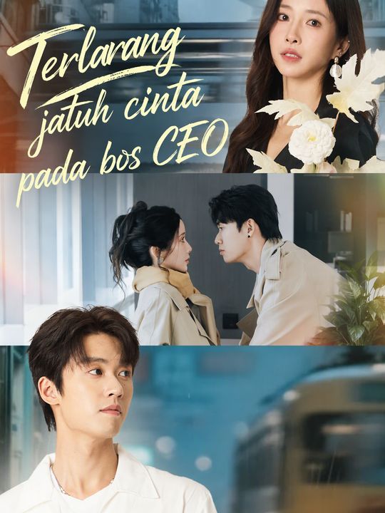 Terlarang jatuh cinta pada bos CEO