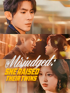 Misjudged: She Raised Their Twins