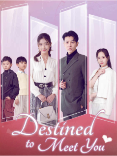 Destined to Meet You