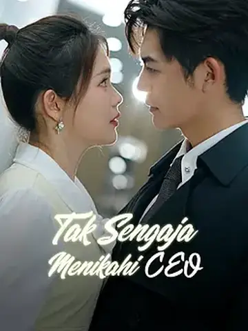 Tak Sengaja Menikahi CEO