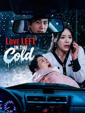 Love Left in the Cold(Dubbed)