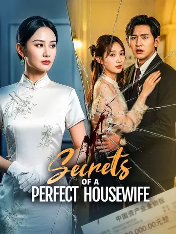 Secrets of a Perfect Housewife(Dubbed)