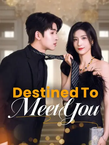Destined to Meet You(Dubbed)