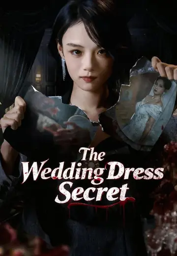 The Wedding Dress Secret