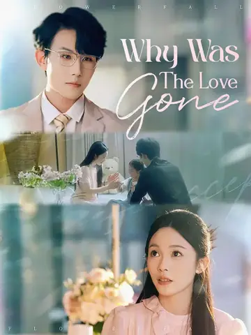 Why Was The Love Gone - Revenge Short Drama | Melolo