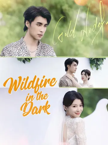 Wildfire in the Dark - Billionaire Short Drama | Melolo