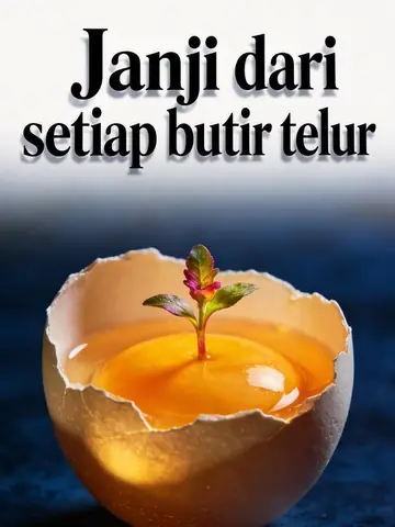 Janji dari setiap butir telur