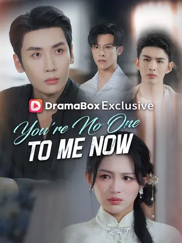 You're No One to Me Now (DUBBED)