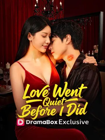 Love Went Quiet Before I Did (DUBBED)