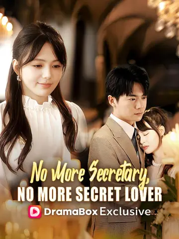 No More Secretary, No More Secret Lover（DUBBED）